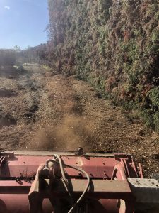 mulching bay of plenty