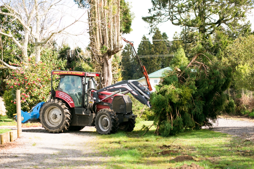 clearing branches