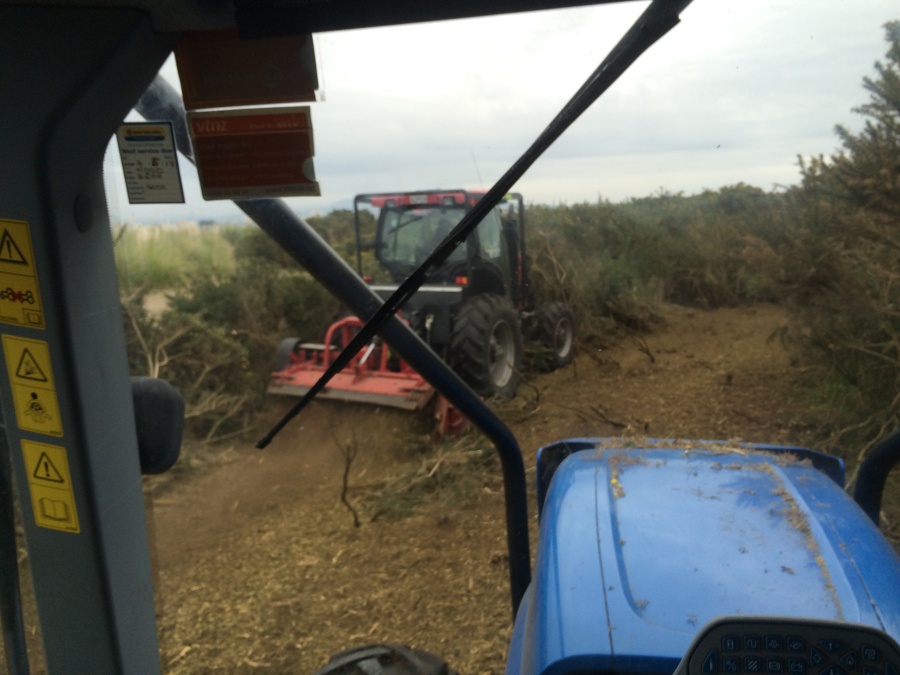 Clearing Scrub Gorse