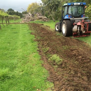 Oropi mulching bay of plenty